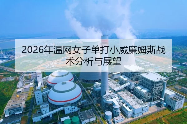 nian-wen-wang-nv-zi-dan-da-xiao-wei-lian-mu-si-zhan-shu-fen-xi-yu-zhan-wang-2-386.jpg