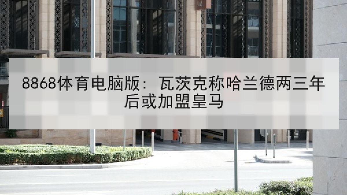 8868体育电脑版: 瓦茨克称哈兰德两三年后或加盟皇马