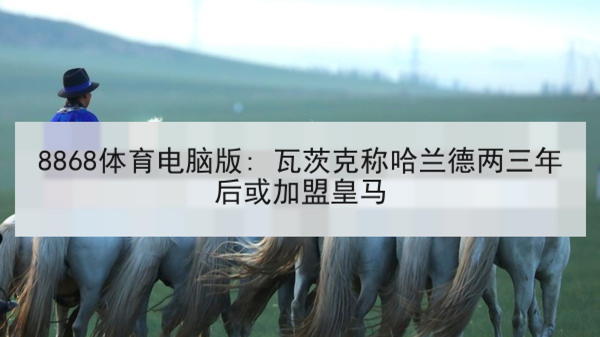 8868体育电脑版: 瓦茨克称哈兰德两三年后或加盟皇马