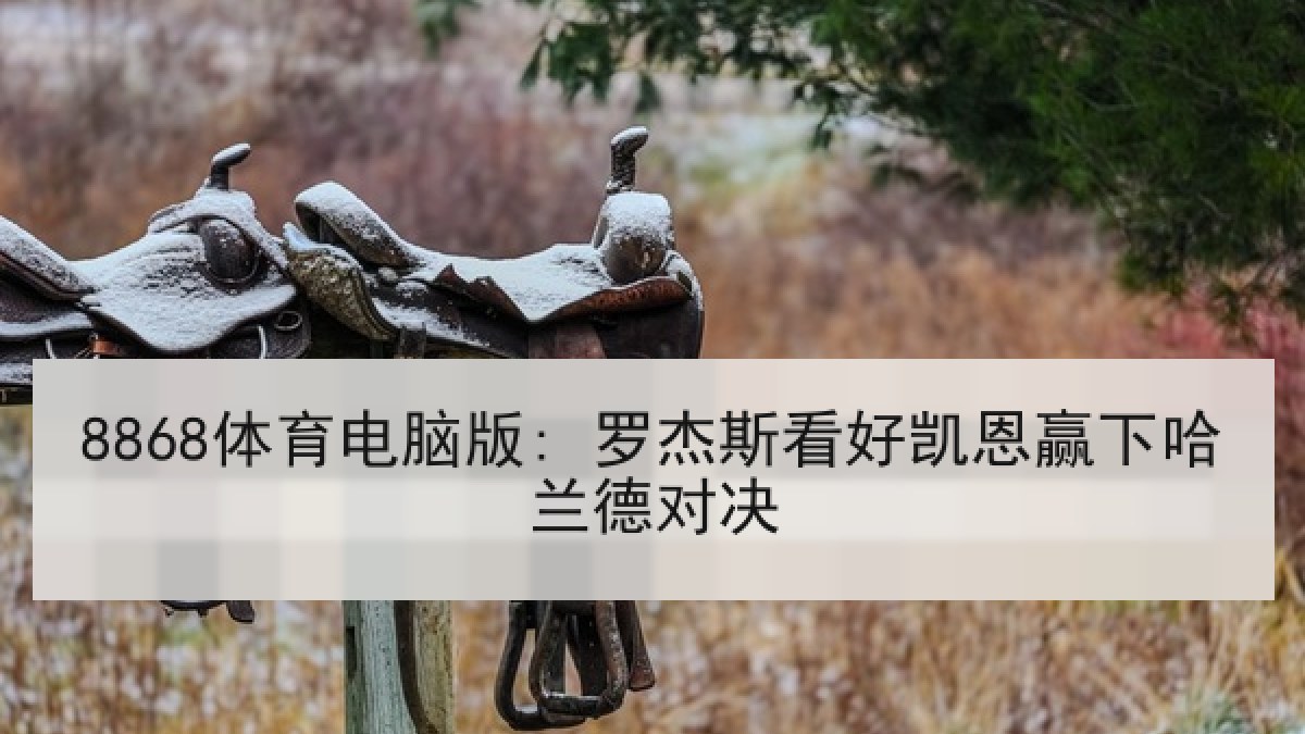 8868体育电脑版: 罗杰斯看好凯恩赢下哈兰德对决 8868体育电脑版: 罗杰斯看好凯恩赢下哈兰德对决