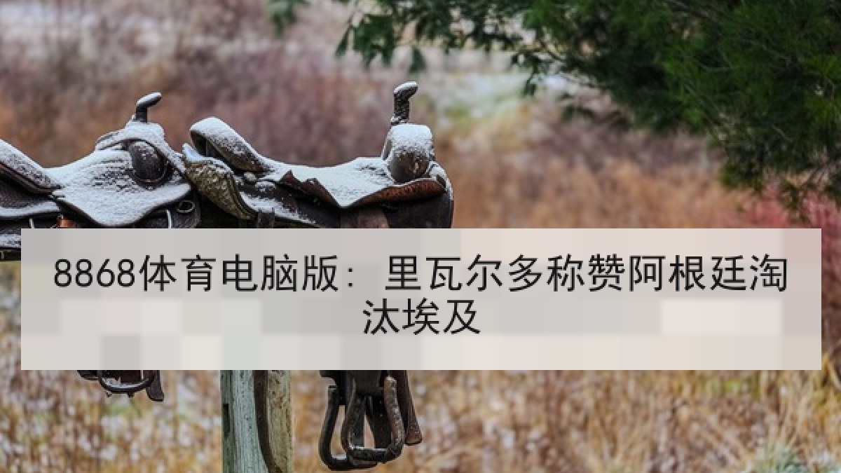 8868体育电脑版: 里瓦尔多称赞阿根廷淘汰埃及