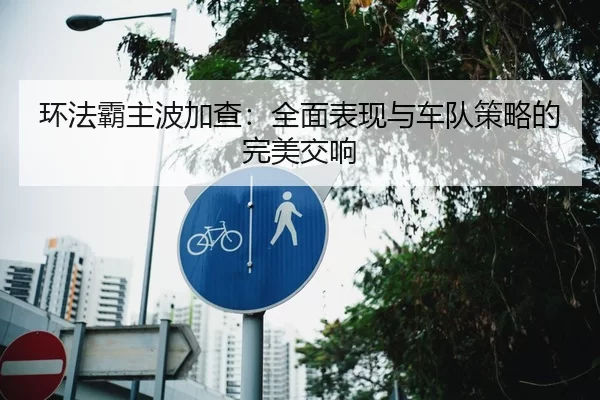 环法霸主波加查：全面表现与车队策略的完美交响