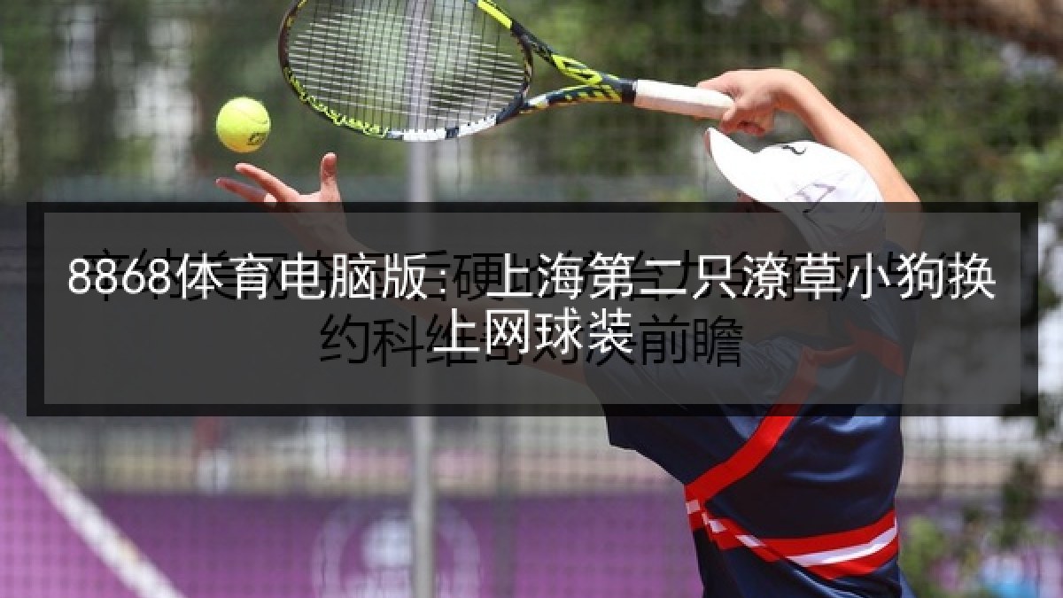 8868体育电脑版: 上海第二只潦草小狗换上网球装